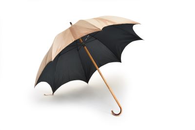 Princess Beatrice's Umbrella