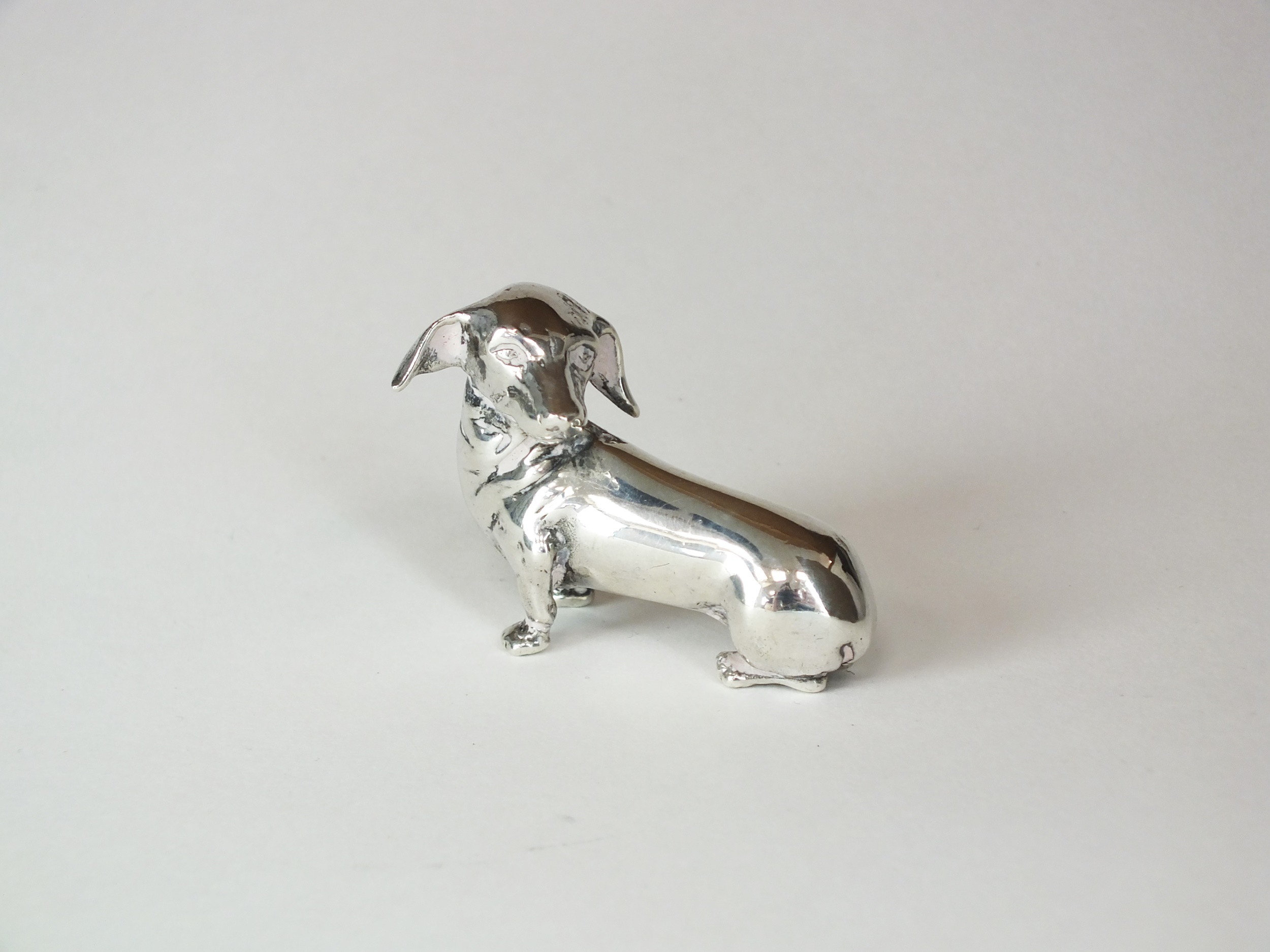 Silver Dachshund dog