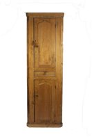 Lot 97 - A Victorian pine free standing full height...