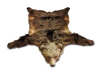 Lot 144 - A grizzly bear rug