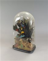 Lot 237 - A Victorian taxidermy display case