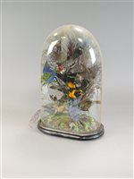 Lot 238 - A Victorian taxidermy diorama of exotic birds in domed glass display case