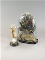 Lot 239 - A Victorian diorama of 4 exotic birds in a glass dome and on ebonised plinth