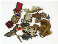 Lot 204 - Bag of assorted medals, cap badges and medallions