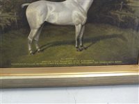 Lot 383 - William Albert Clark, (1899-1936),  Blodwen I, grey horse, oil on canvas