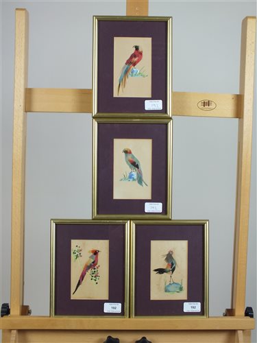 Lot 192 - A set of four exotic bird pictures