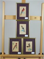 Lot 192 - A set of four exotic bird pictures