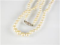 Lot 104 - An untested graduated pearl necklace