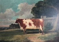 Lot 410 - Richard Whitford, prize cow, oil on canvas