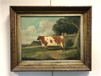 Lot 410 - Richard Whitford, prize cow, oil on canvas