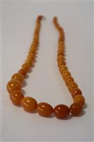 Lot 90 - A Graduated Amber Bead Necklace