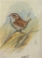 Lot 351 - Henry Stinton (British school, late 19th/early 20th century), Wren, watercolour