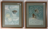 Lot 173 - Pair of watercolours of butterflies