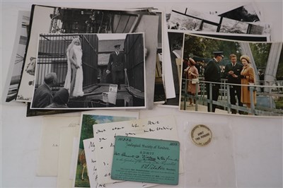 Lot 159 - LONDON ZOO PRESS PHOTOGRAPHS. A small...