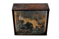 Lot 416 - Taxidermy: A  Victorian cased stoat