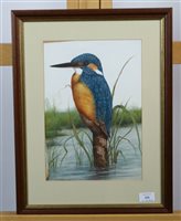 Lot 220 - Burton, kingfisher