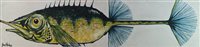 Lot 220 - John Noakes fish oil on canvas