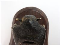 Lot 418 - Taxidermy:  A late Victorian head of a gharial