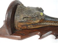 Lot 418 - Taxidermy:  A late Victorian head of a gharial