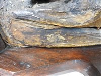 Lot 418 - Taxidermy:  A late Victorian head of a gharial