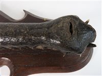 Lot 418 - Taxidermy:  A late Victorian head of a gharial