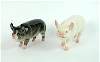 Lot 117 - Beswick models of a Middlewhite Boar and a Berkshire Boar