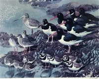 Lot 469 - Tunnicliffe print