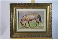 Lot 108 - Roy Peter Rey, horse portrait