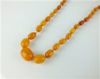 Lot 191 - A graduated amber bead necklace