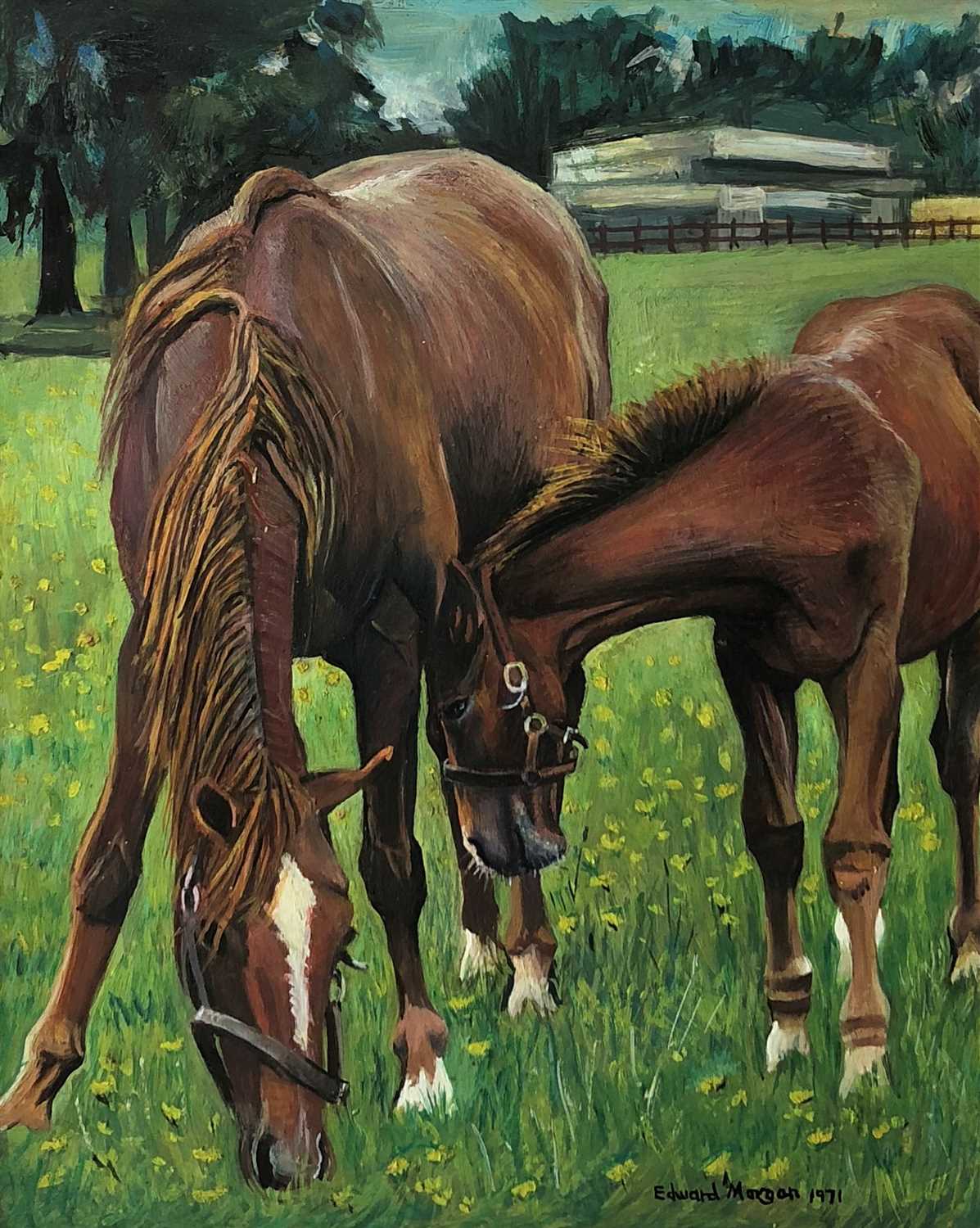 Lot 31 - Edward Morgan (B.1933), horse with her foal