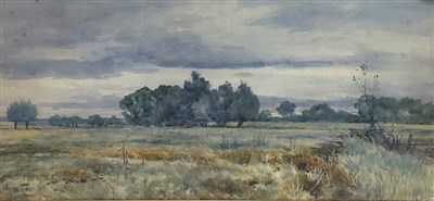 Lot 39 - R.W. Fraser, open fields