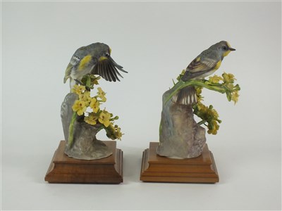 Lot 76 - A pair of Royal Worcester figures of Audubon Warblers on Palo Verdi
