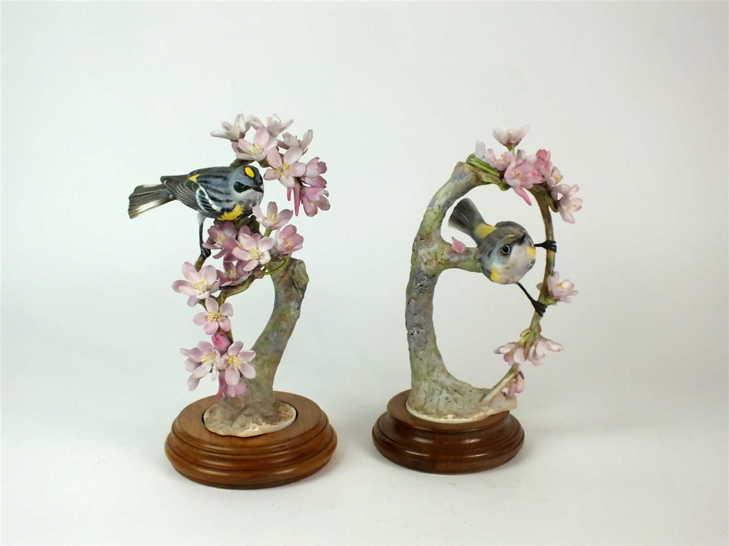 Lot 85 - A pair of Royal Worcester models of Myrtle Warblers