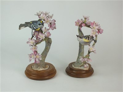 Lot 85 - A pair of Royal Worcester models of Myrtle Warblers