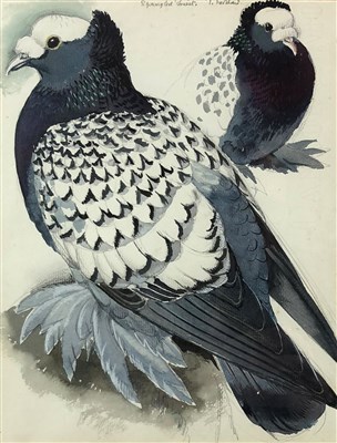 Lot 5 - Charles Frederick Tunnicliffe (1901 - 1979), Spangled Priest