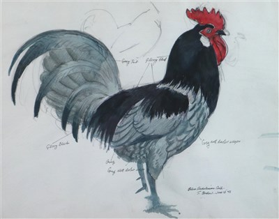 Lot 20 - Charles Frederick Tunnicliffe (1901 - 1979), Cockerell