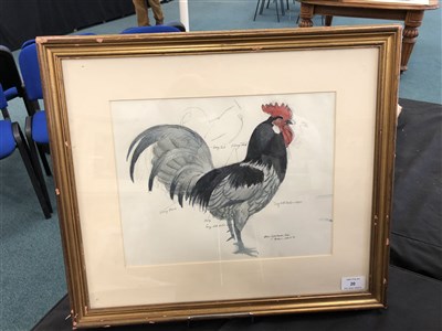 Lot 20 - Charles Frederick Tunnicliffe (1901 - 1979), Cockerell