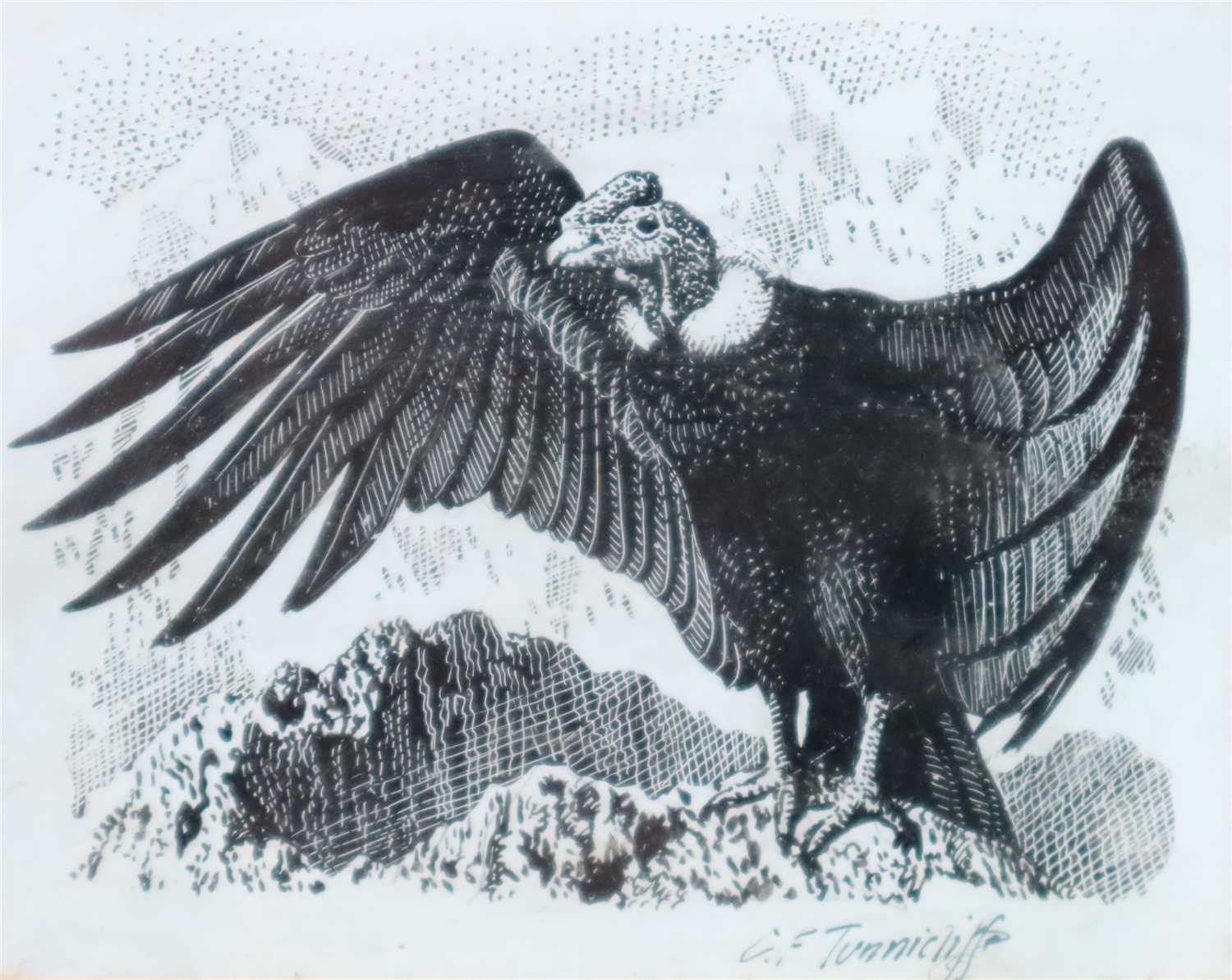 Lot 22 - Charles Frederick Tunnicliffe (1901 - 1979), Condor