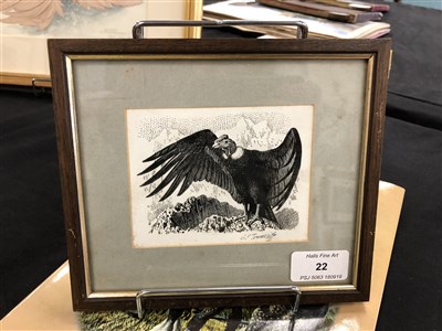 Lot 22 - Charles Frederick Tunnicliffe (1901 - 1979), Condor
