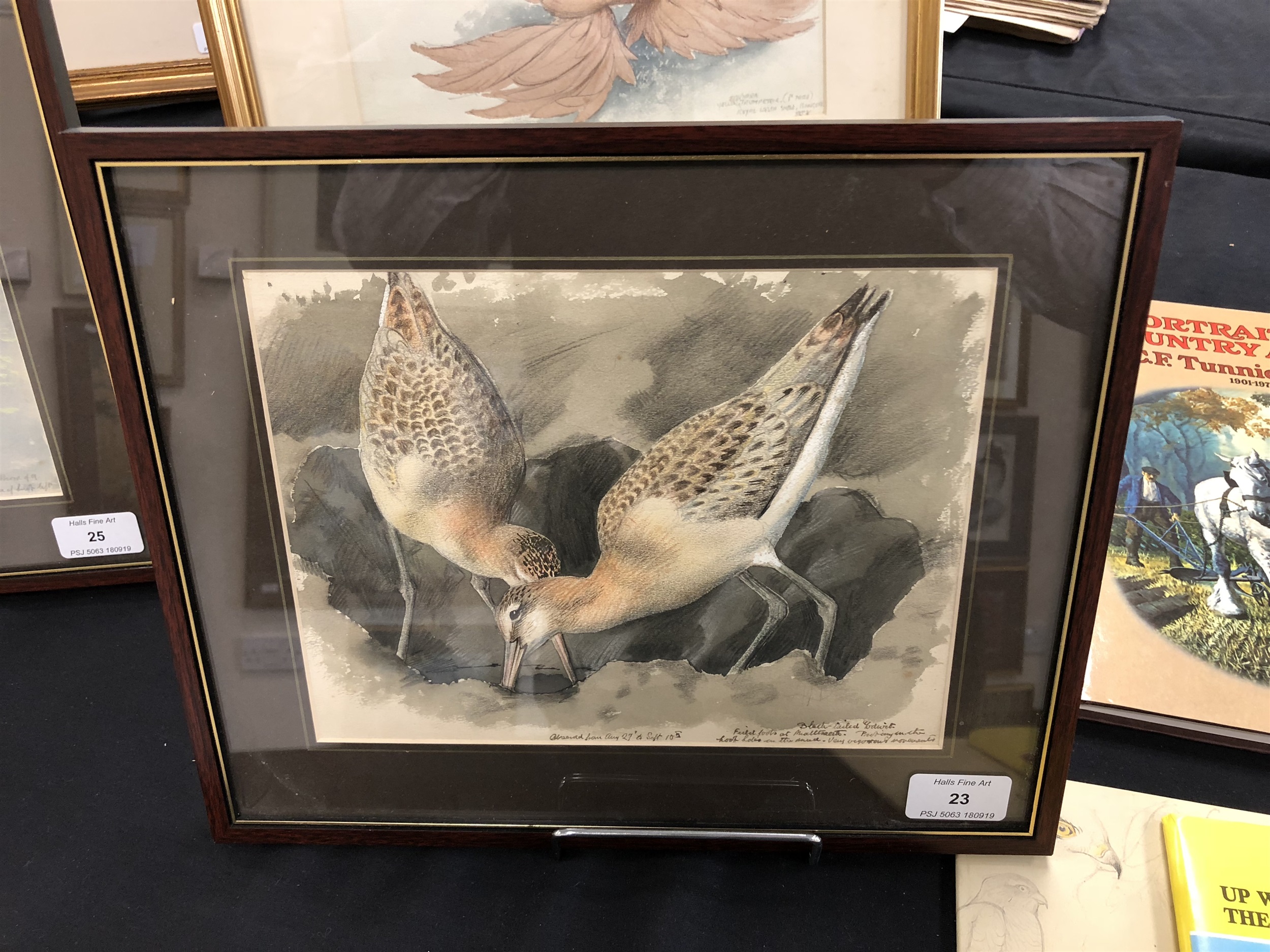 Lot 23 Charles Frederick Tunnicliffe (1901 1979),