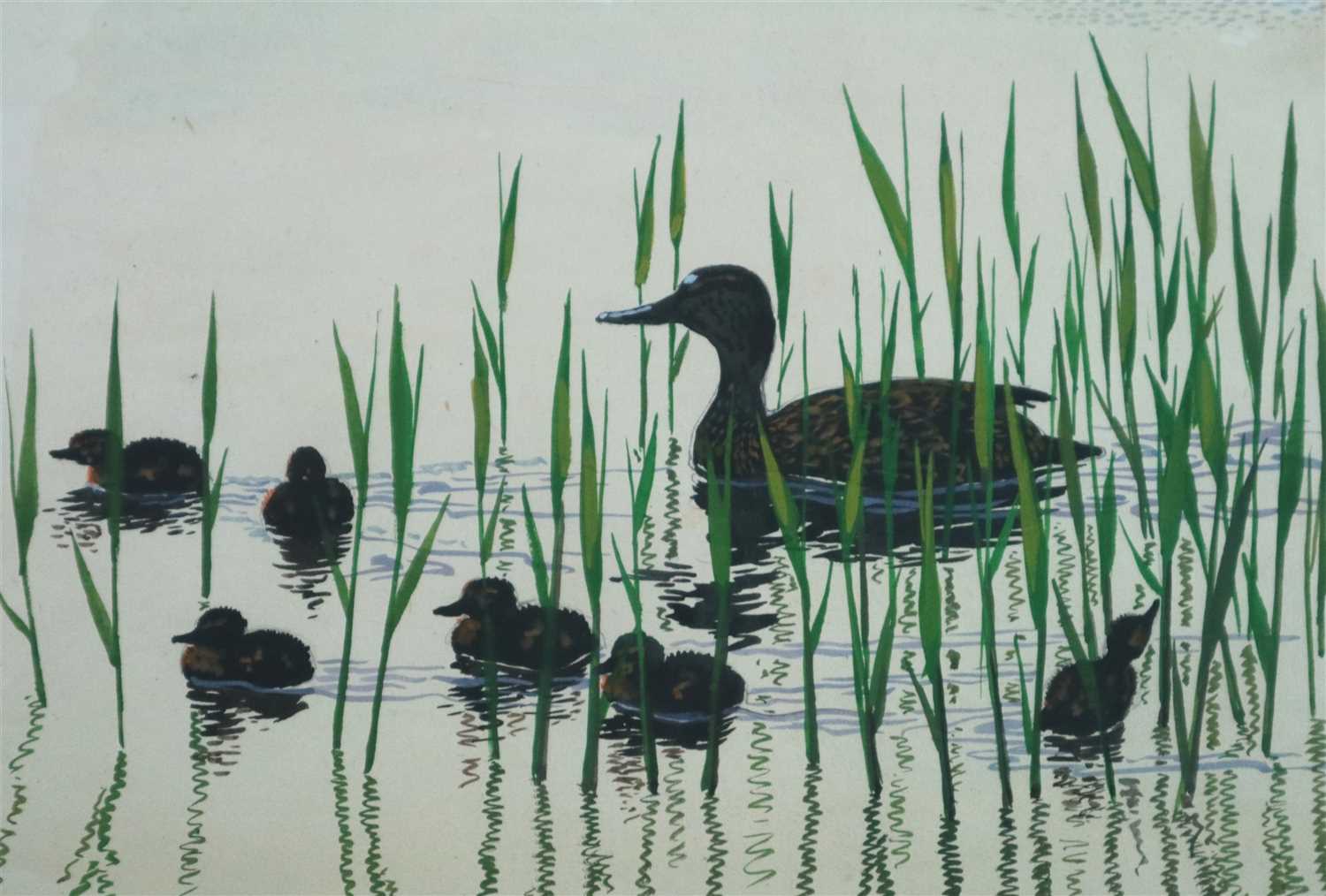 Lot 24 - Charles Frederick Tunnicliffe (1901 - 1979), A Mallard with her
Ducklings