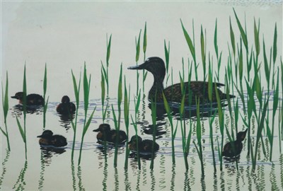 Lot 24 - Charles Frederick Tunnicliffe (1901 - 1979), A Mallard with her
Ducklings