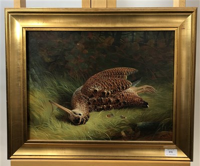 Lot 315 - H Hold, Still life of a dead snipe