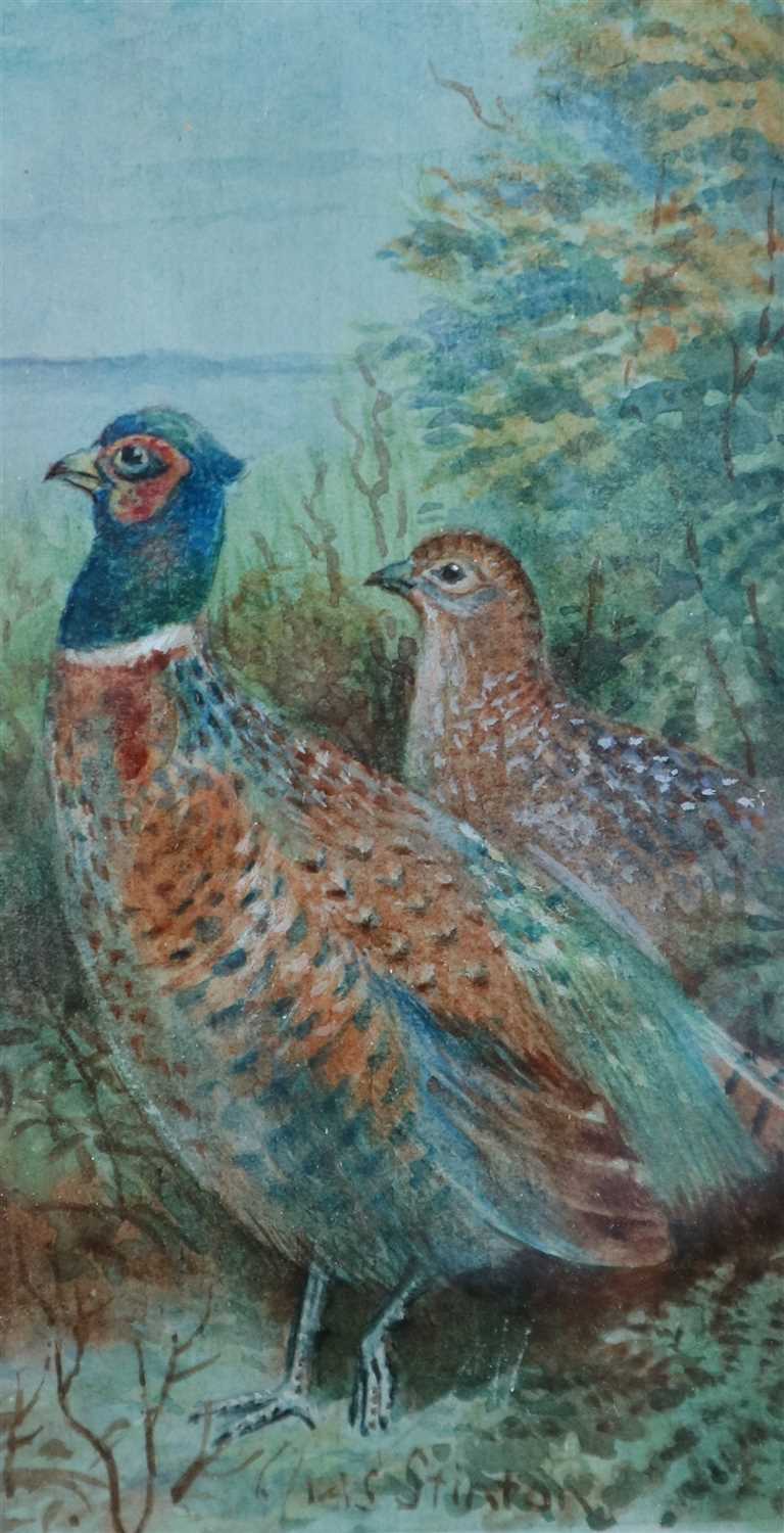 Lot 153 - James Stinton (1870-1961), Pair of Watercolours; Pheasants and Grouse