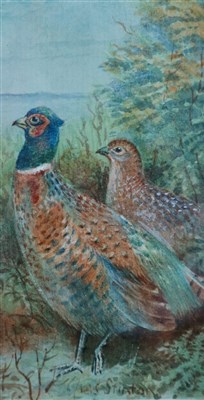 Lot 153 - James Stinton (1870-1961), Pair of Watercolours; Pheasants and Grouse