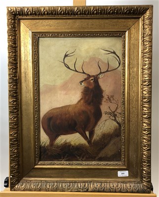 Lot 305 - stag oil on board