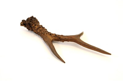 Lot 236 - A naturalistically modelled cast bronze section of stag antler