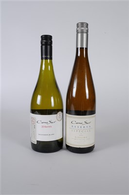 Lot 603 - Chile Box Cono Sur 20 Barrels Sauvignon Blanc...