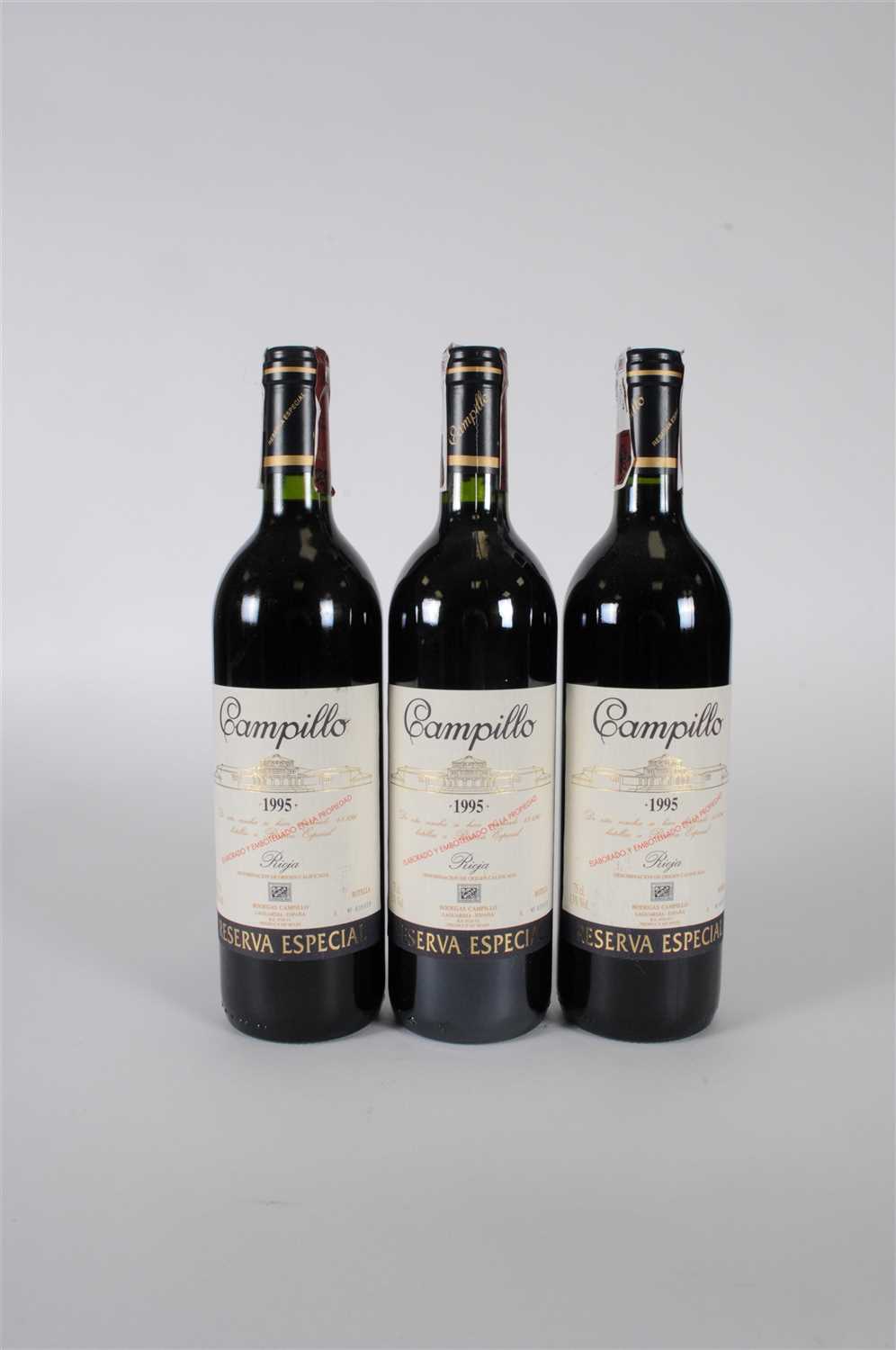 Lot 133 - Bodegas Campillo Reserva Especial 1995 3 bottles