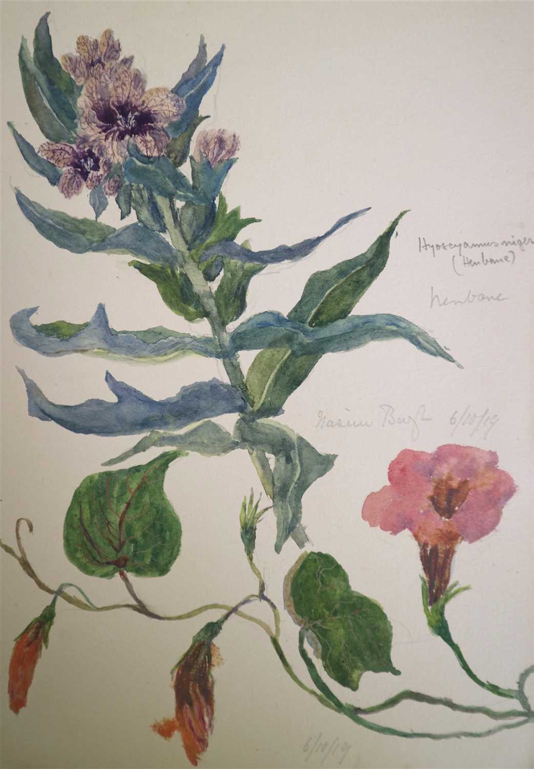Lot 146 - Early 20th century sketchbooks containing botanical studies from Pakistan and India